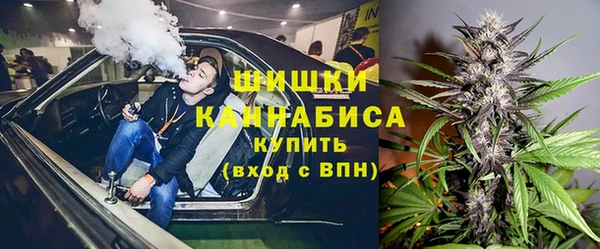 PSILOCYBIN Алексеевка