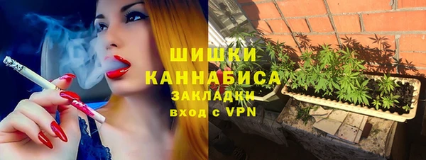 PSILOCYBIN Алексеевка