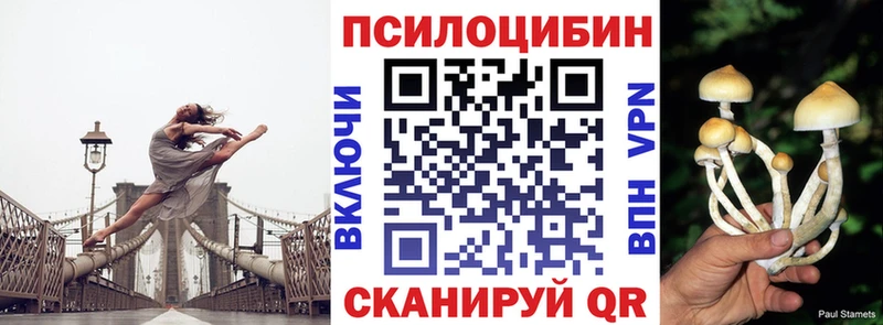 Галлюциногенные грибы ЛСД где продают наркотики Топки
